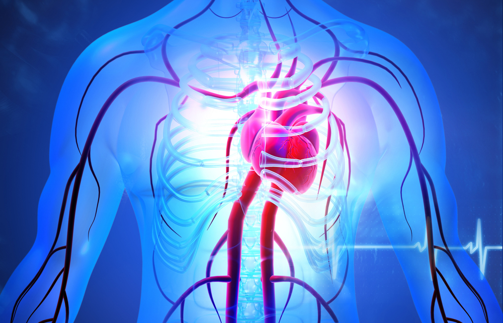 Cardiology & Cardiac Surgery