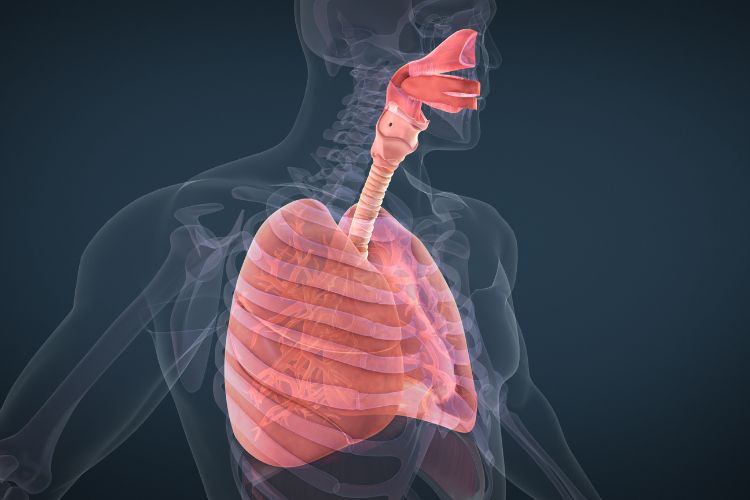Respiratory Medicine